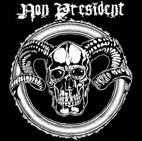 NON PRESIDENT & MITREGA - Split LP Punk, Hardcore