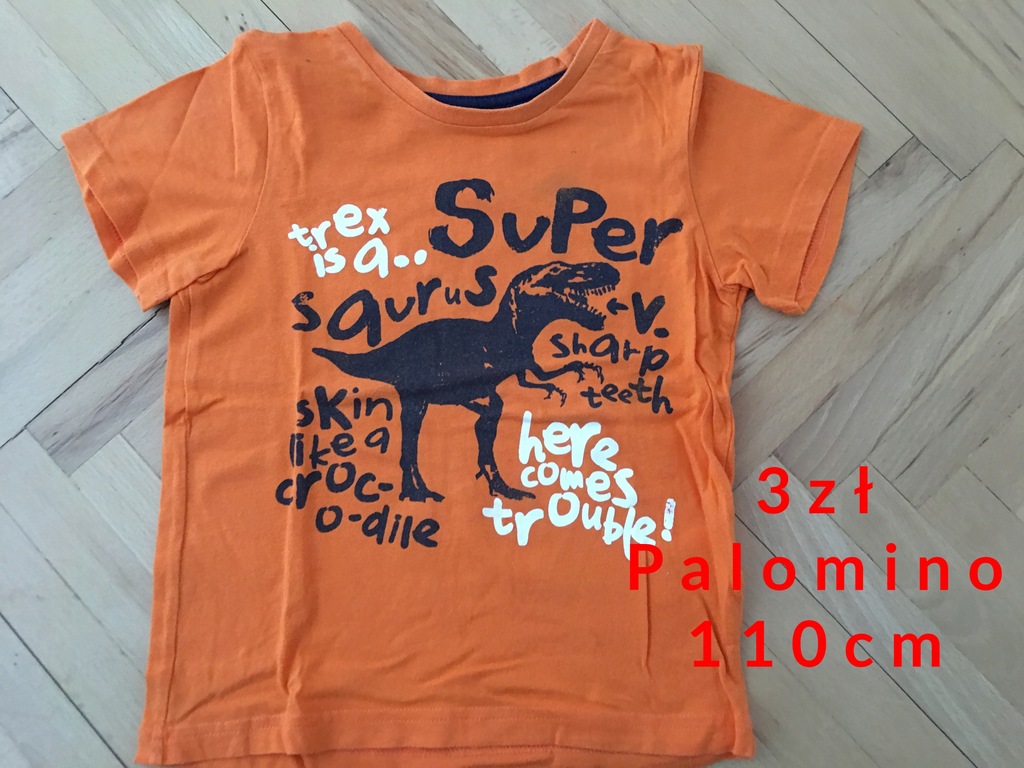 T-shirt, chłopiec, stan bdb, 110cm, Palomino