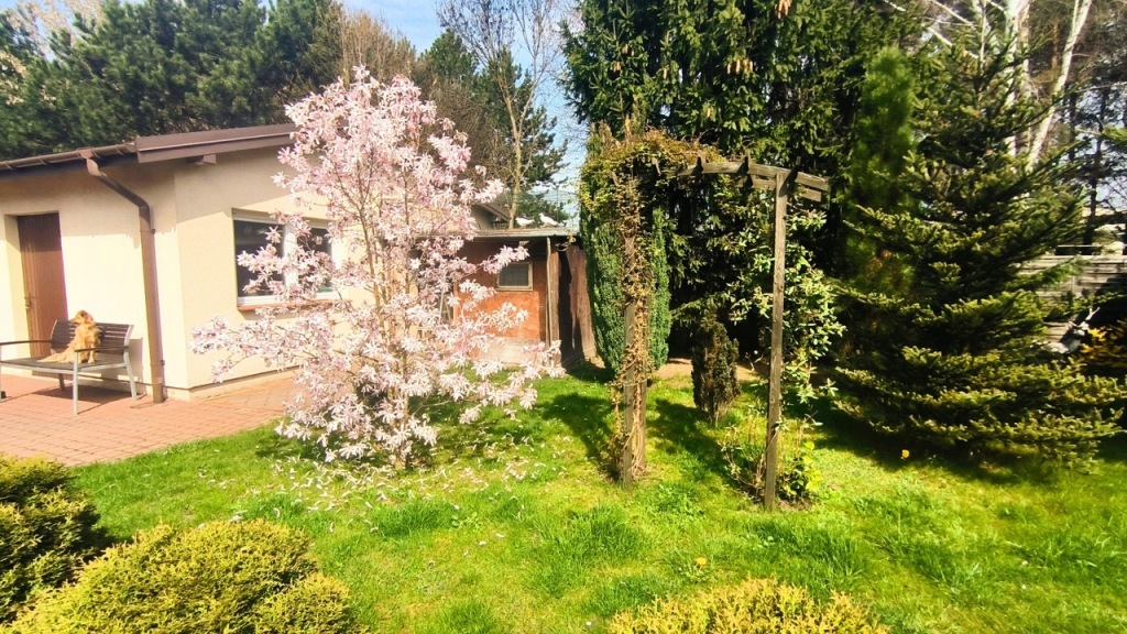 Dom, Grodzisk Mazowiecki, Grodzisk Mazowiecki, Grodziski, 150 m²