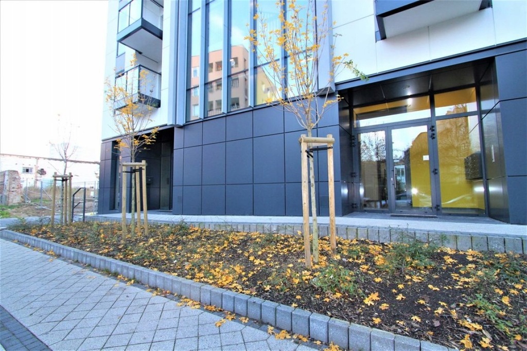 Komercyjne, Poznań, Jeżyce, 83 m²