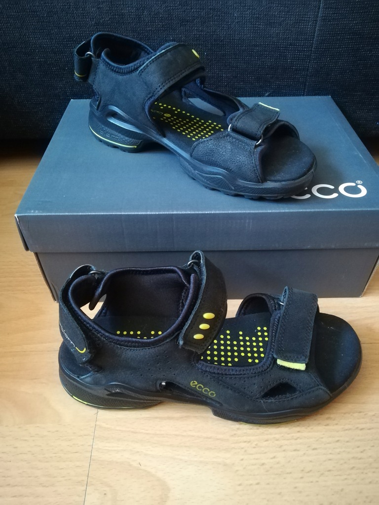 ecco biom 37