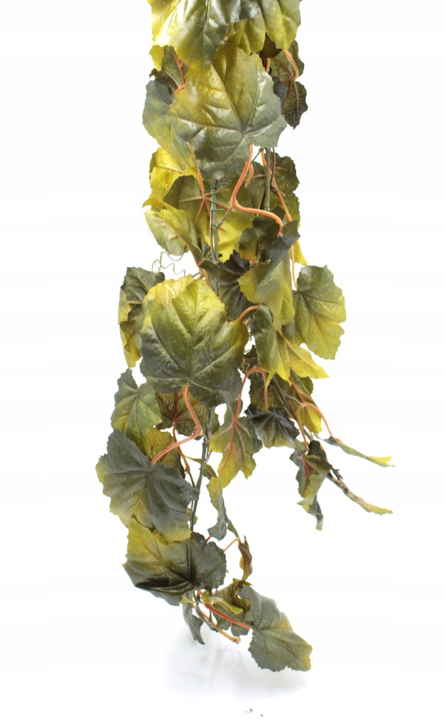 Roślina R013 do terrarium 190cm Winobluszcz