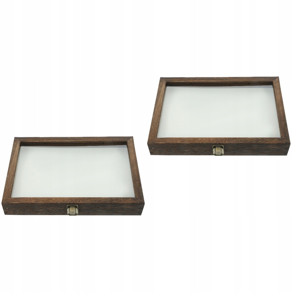 Insect Specimen Box Glass Display Case Vintage 14314568670