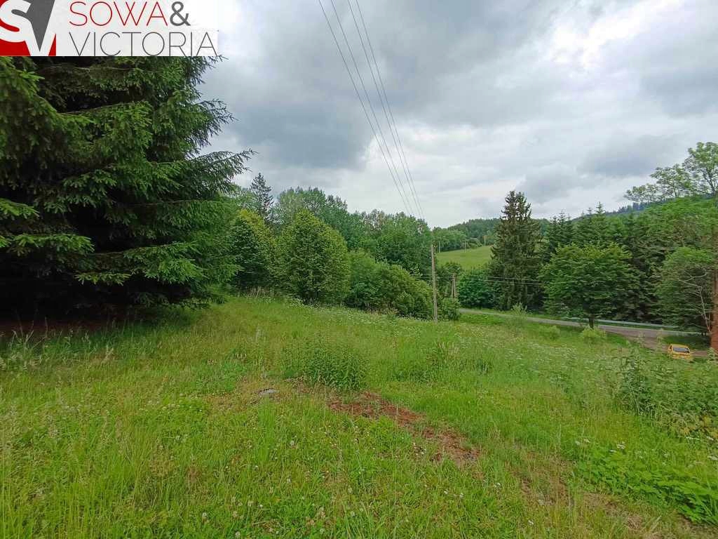Działka, Sierpnica, 5000 m²