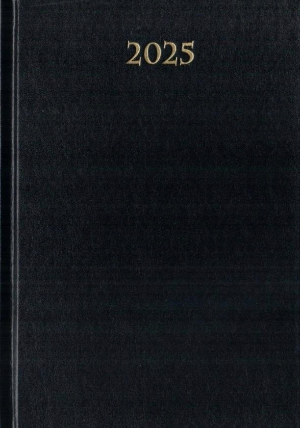 TERMINARZ 2025 DZIENNY A5 DIVAS CZARNY