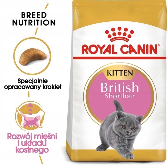 Royal Canin British Shorthair Kitten karma sucha dla kociąt, do 12 miesiąca