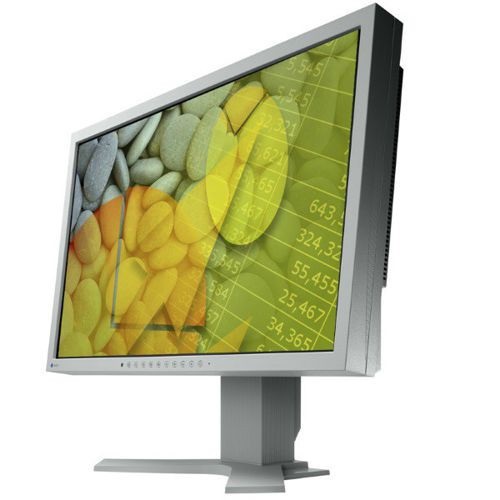 PROFESJONALNY MONITOR EIZO S2431W SZARY FHD PVA 24 7391422584