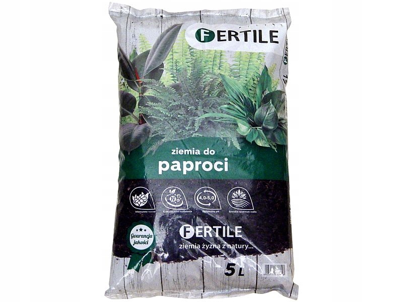 грунт для папоротника. почвогрунт для папоротников. грунт для папоротников комнатных. почвогрунт для папоротников комнатных. какой грунт нужен для папоротника.