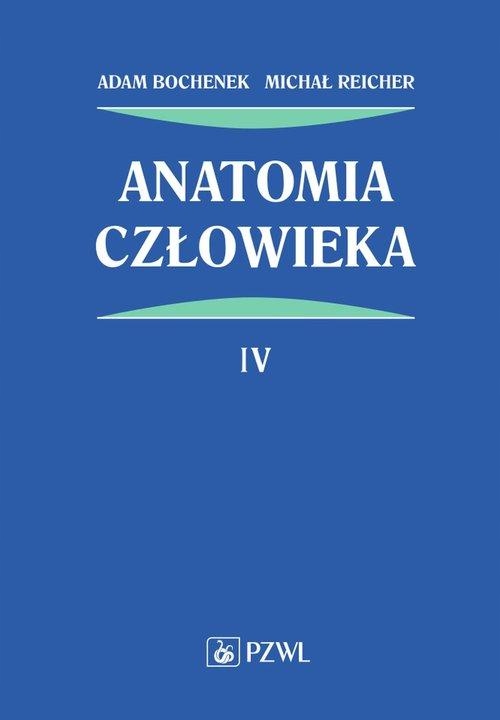 ANATOMIA CZŁOWIEKA TOM 4