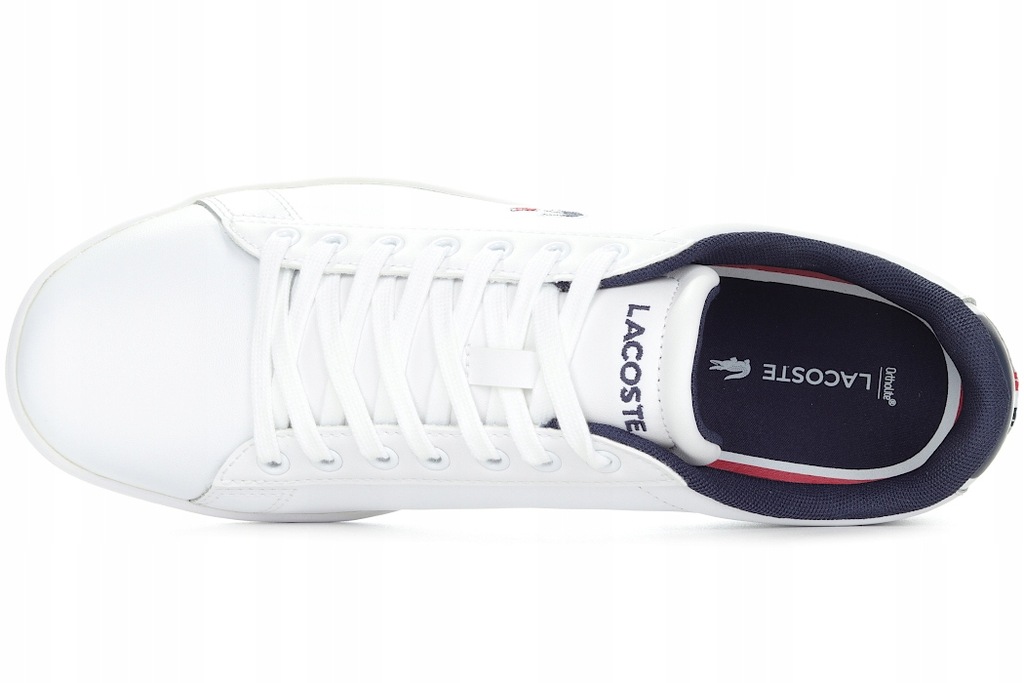 Купить КРОССОВКИ LACOSTE CARNABY EVO 7-39SFA0048407: отзывы, фото, характеристики в интерне-магазине Aredi.ru