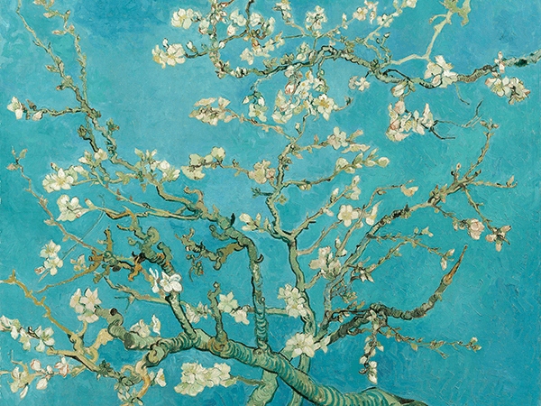 Reprodukcja Almond Blossom - Gogh 40x30