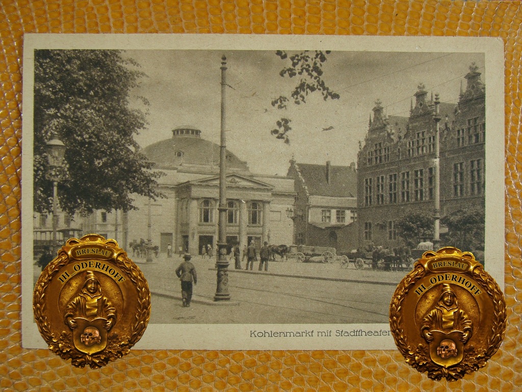 ca.1920 Danzig,Lux Express N934