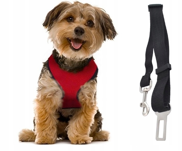 Szelki dla psa XS + SMYCZ DO AUTA maltańczyk york - 8552720062