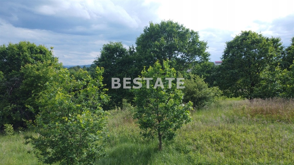 Działka, Biesiadki, Gnojnik (gm.), 13775 m²