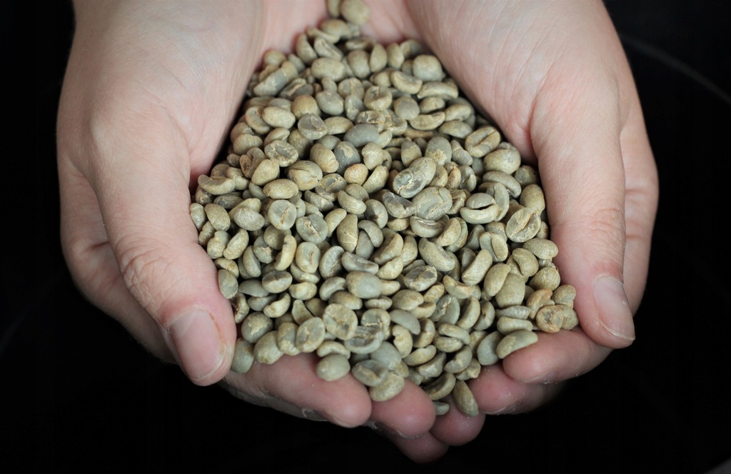 Zielone ziarno kawy Gwatemala Acalm 1 kg Niepalona