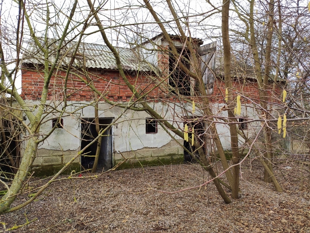 Dom, Steklin, Czernikowo (gm.), 250 m²