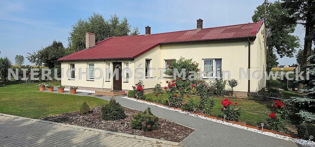 Dom, Gnojno, Kutno (gm.), 100 m²