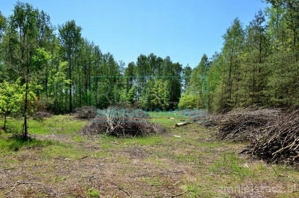 Działka Żabia Wola, grodziski, 1261,00 m²