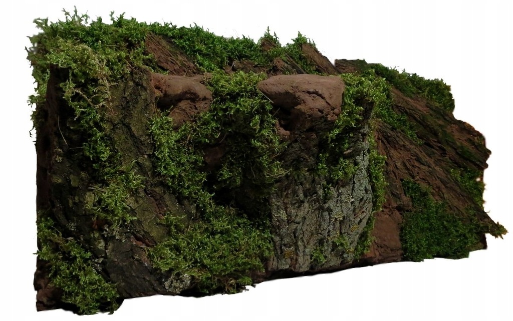 Купить Фон для ЛЕСНОГО ТЕРРАРИУМА - змея, ящерица: отзывы, фото и ...