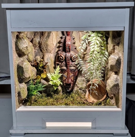 Gotowe terrarium dla ptasznika 40x30x40
