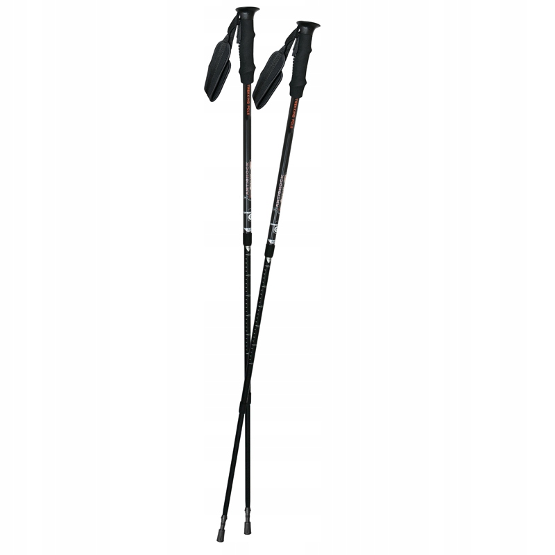 KIJE TREKKINGOWE NORDIC WALKING TK305