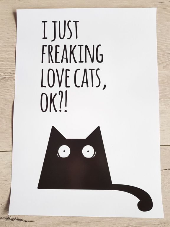 PLAKAT I just freaking love cats, ok? KOT PaniKota