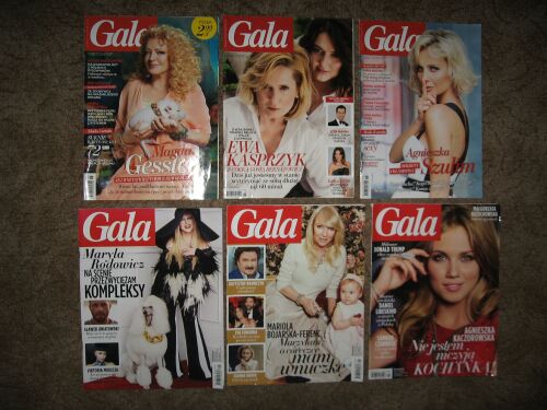 Купить Гала-журналы - 9 шт.: отзывы, фото, характеристики в интерне-магазине Aredi.ru