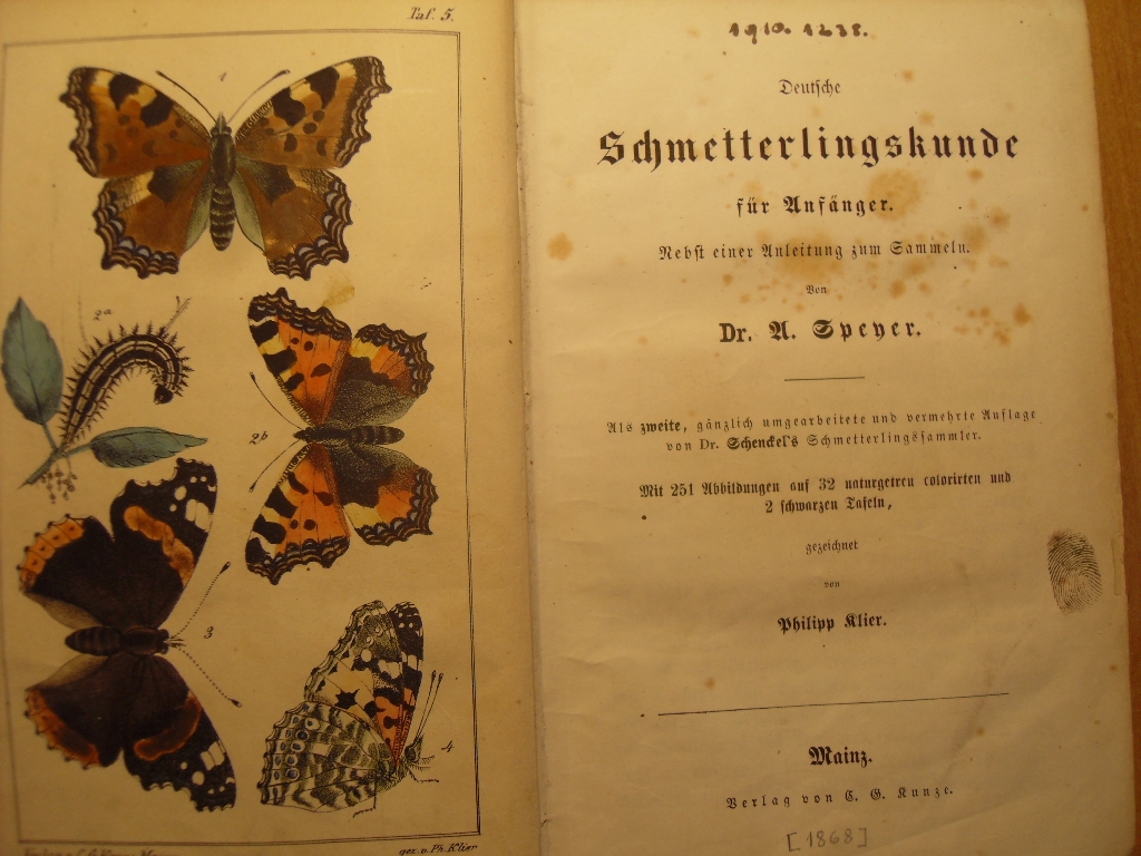 ATLAS MOTYLI Schmetterlingskunde SPEYER KLIER 1868