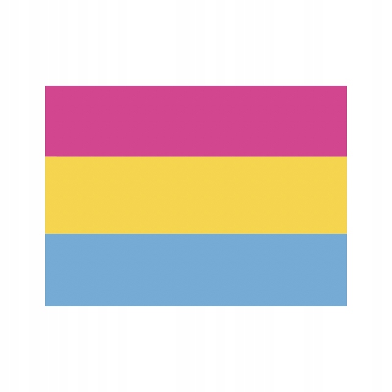 FLAGA LGBTQ+ Pansexual 70 x 112 cm