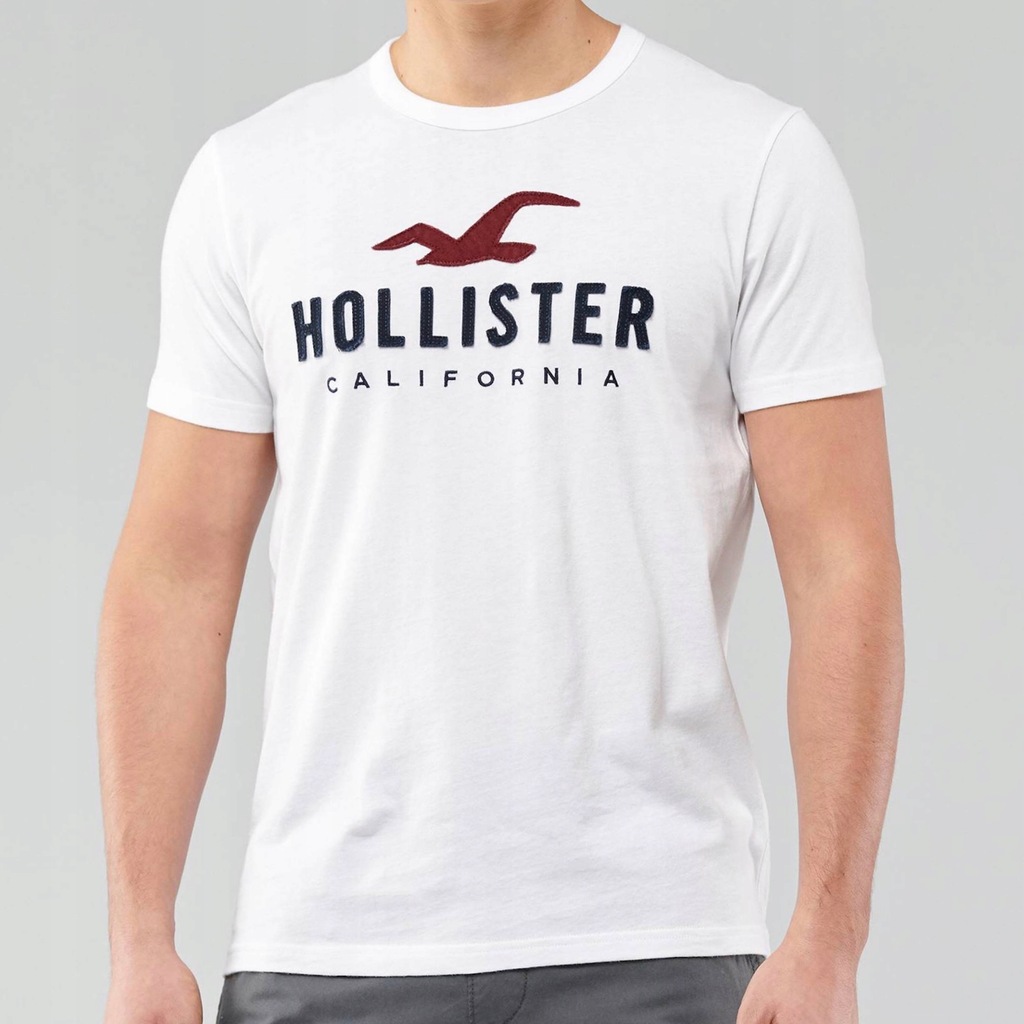 Купить Мужская футболка с логотипом HOLLISTER by Abercrombie XL: отзывы, фото, характеристики в интерне-магазине Aredi.ru