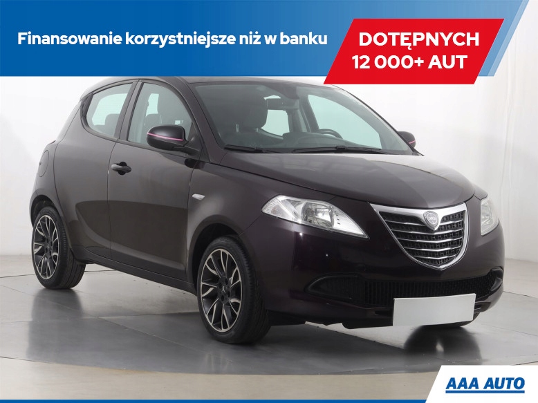 Lancia Ypsilon 1.2, Salon Polska, Serwis ASO