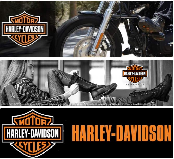 Emblemat na bak naklejka Harley Davidson 7713301414