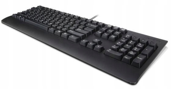 Lenovo Keyboard USB TRDTNL KB BK DEN