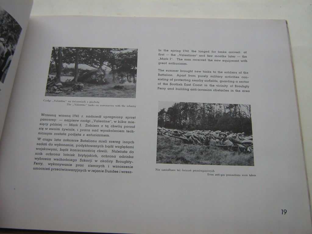 Купить 1-й танковый полк в 1939–1946 гг., Ганновер.: отзывы, фото, характеристики в интерне-магазине Aredi.ru