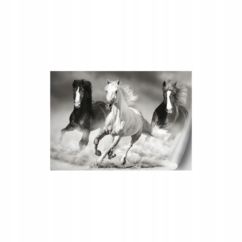 Blok rysunkowy biały Konie w galopie 20 kartek