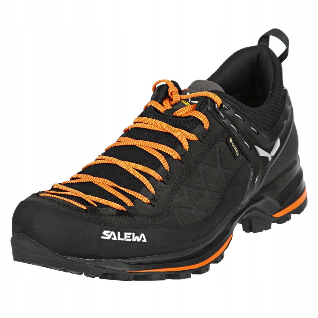 Męskie podejściówki Salewa MS MTN Trainer 2 GTX