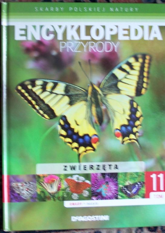 Encyklopedia przyrody - motyle