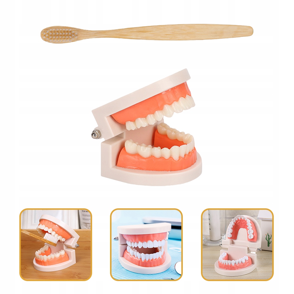 Model higieny zabawek do protez dentystycznych