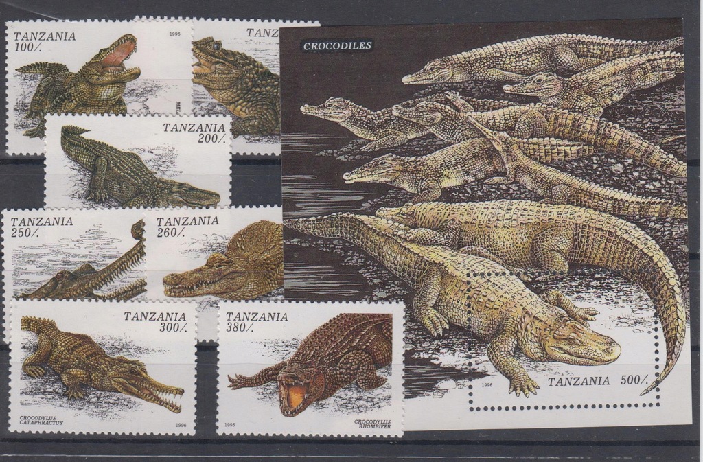 Tanzania ** - krokodyle