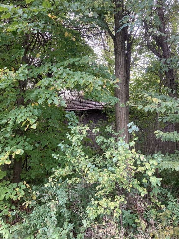 Działka, Bugaj, Pińczów (gm.), 35200 m²