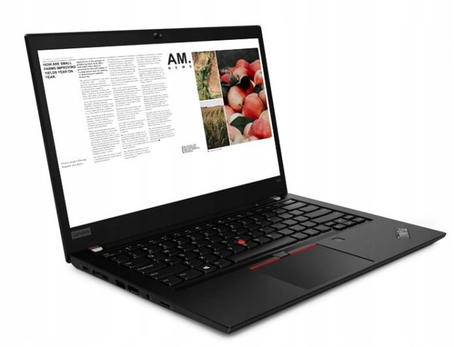 Купить Lenovo ThinkPad T490 i5-8265U 8 ГБ 256PCIe Win10pro: отзывы, фото, характеристики в интерне-магазине Aredi.ru