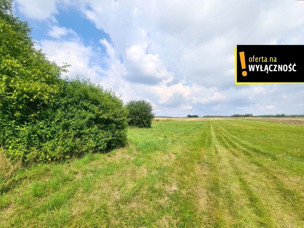 Działka, Oględów, Staszów (gm.), 1200 m²