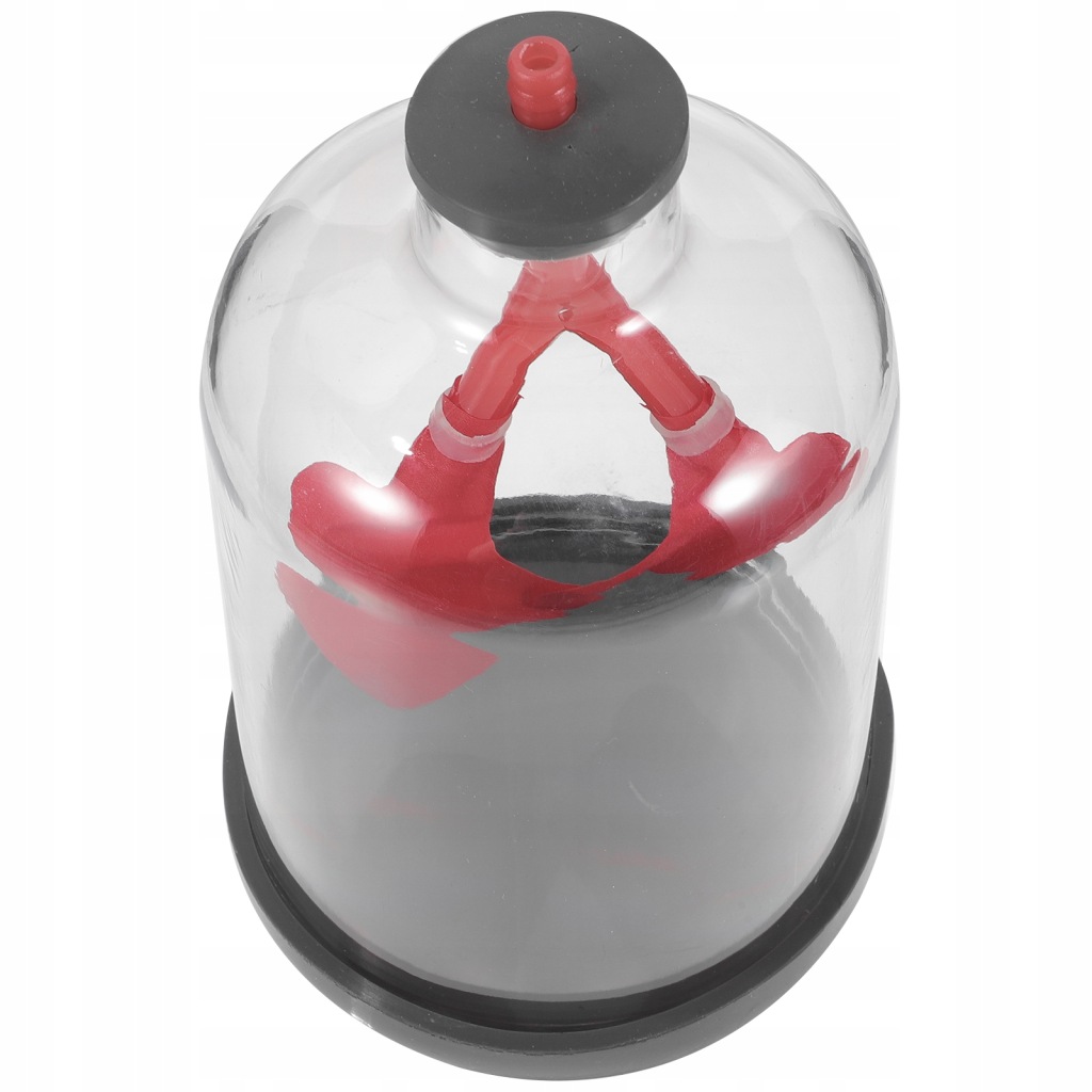 Model nauczania płuc Pomoc dla dzieci Prezent Oddychanie płucami