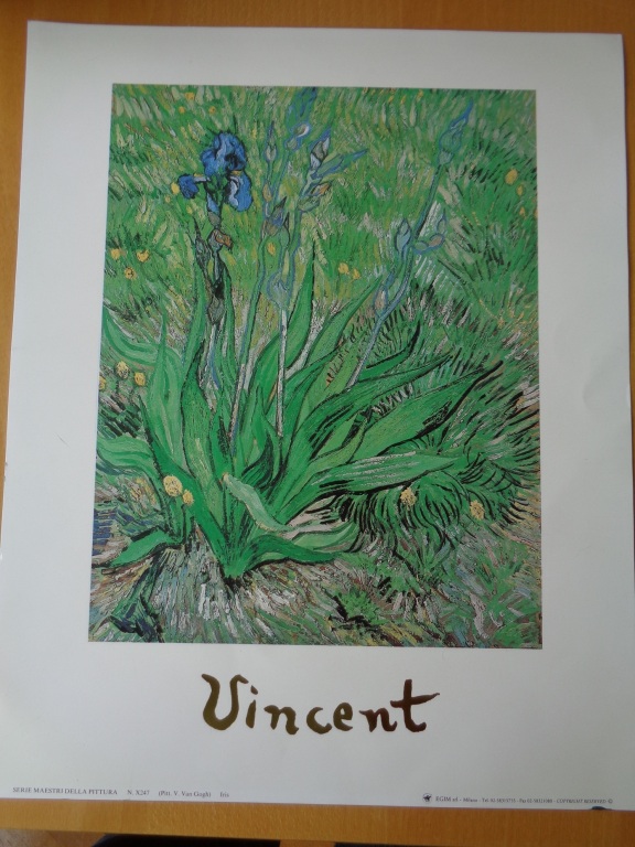 Vincent van Gogh-Irysy