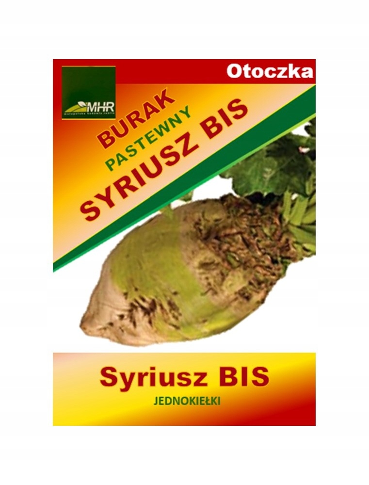 BURAK PASTEWNY OTOCZKOWANY BIAŁY SYRIUSZ - 0,5 KG