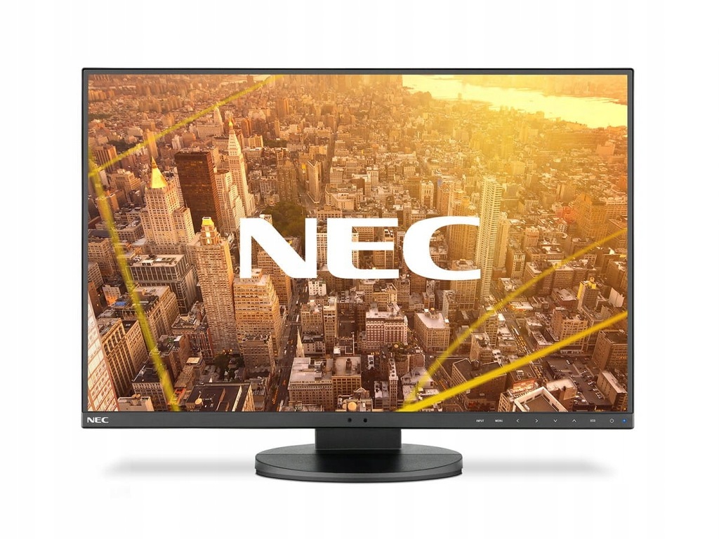 NEC Monitor Multisync EA241F IPS DP HDMI czarny 19