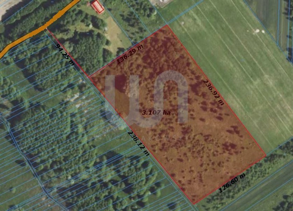 Działka, Radostków, Mykanów (gm.), 31000 m²