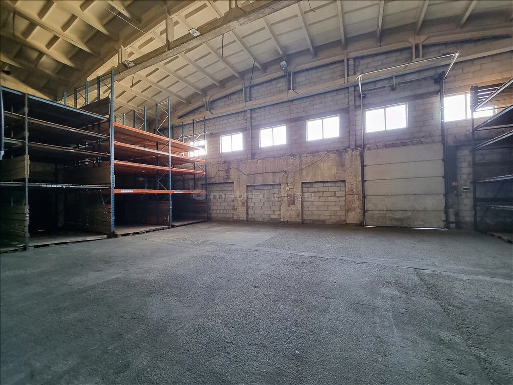 Magazyny i hale, Rzeszów, Tysiąclecia, 1000 m²