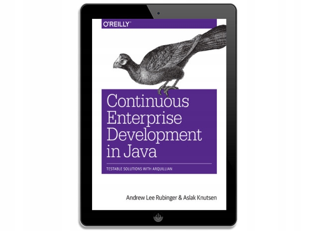 Continuous Enterprise Development in Java