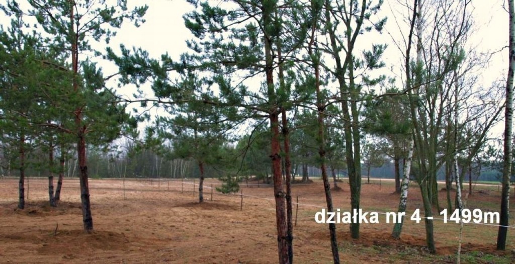 Działka, Łopacin, Sońsk (gm.), 1517 m²